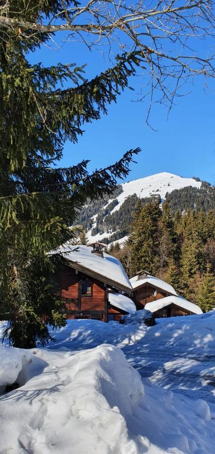 Le Chalet De Nabor レ・ジェ エクステリア 写真