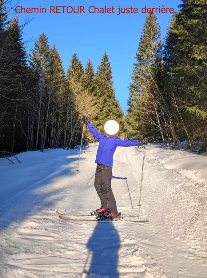 Le Chalet De Nabor レ・ジェ エクステリア 写真