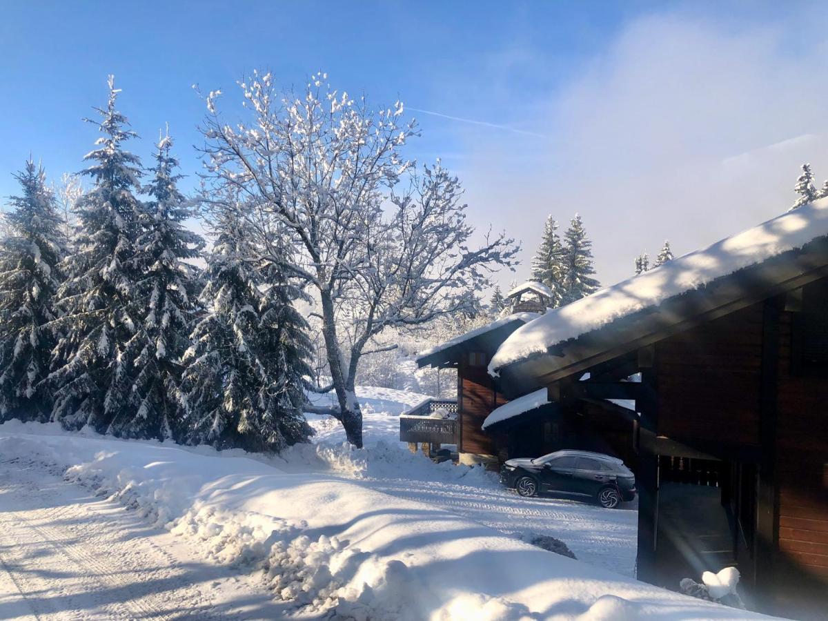 Le Chalet De Nabor レ・ジェ エクステリア 写真