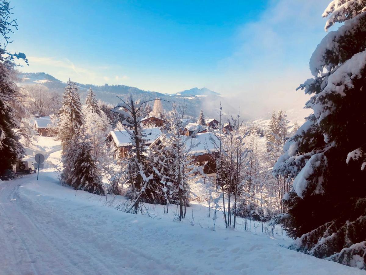 Le Chalet De Nabor レ・ジェ エクステリア 写真